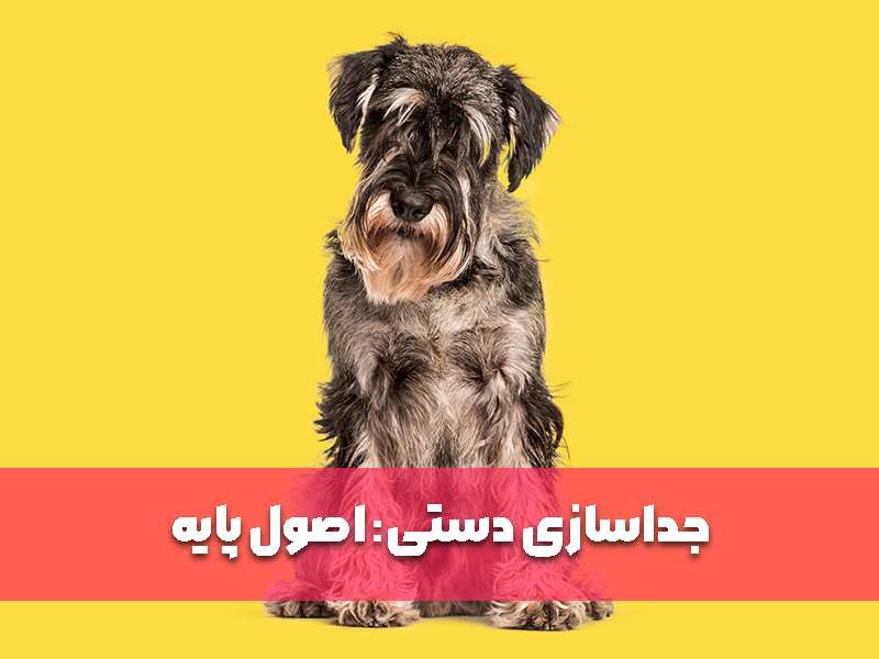 جداسازی دستی (Hand Stripping) چیست؟